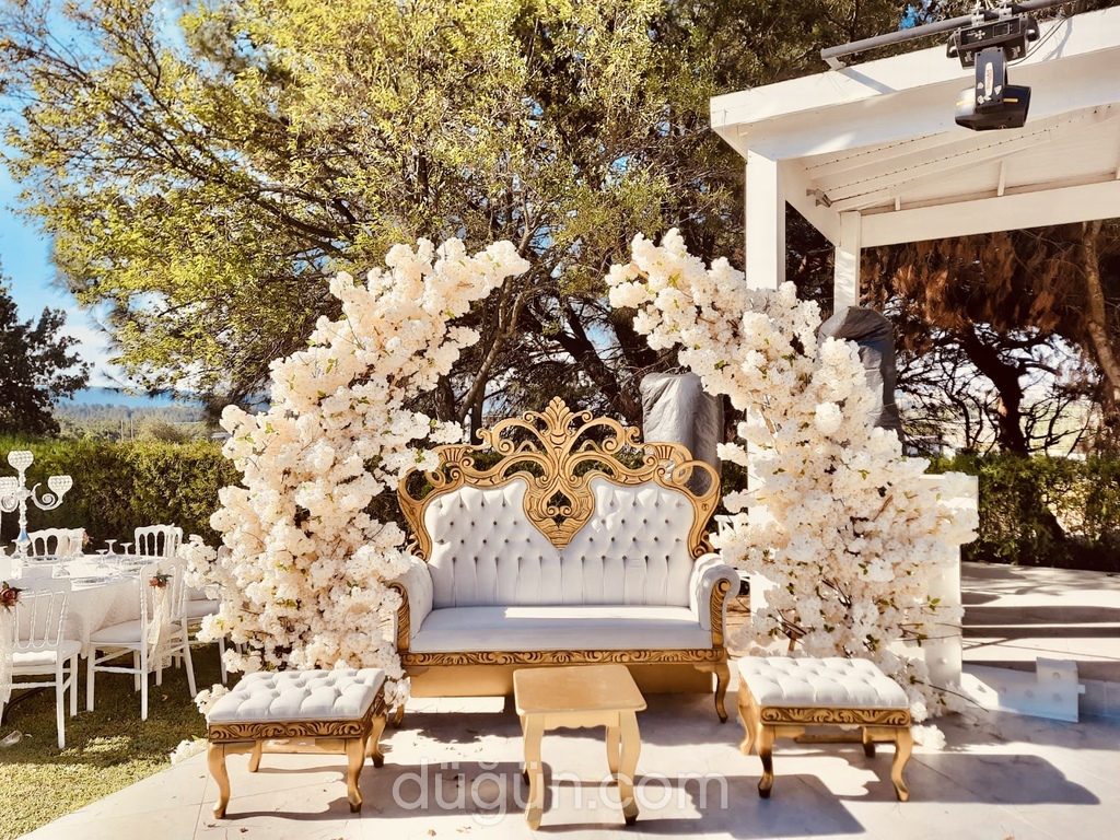 Rüzgar Organizasyon