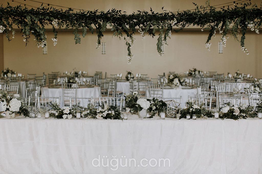 DOA Wedding & Events
