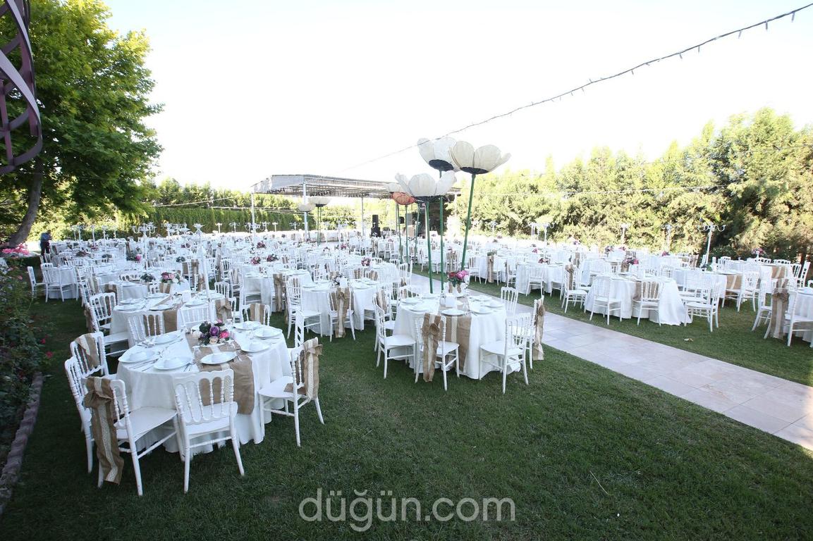 Harmony Kır Düğünü