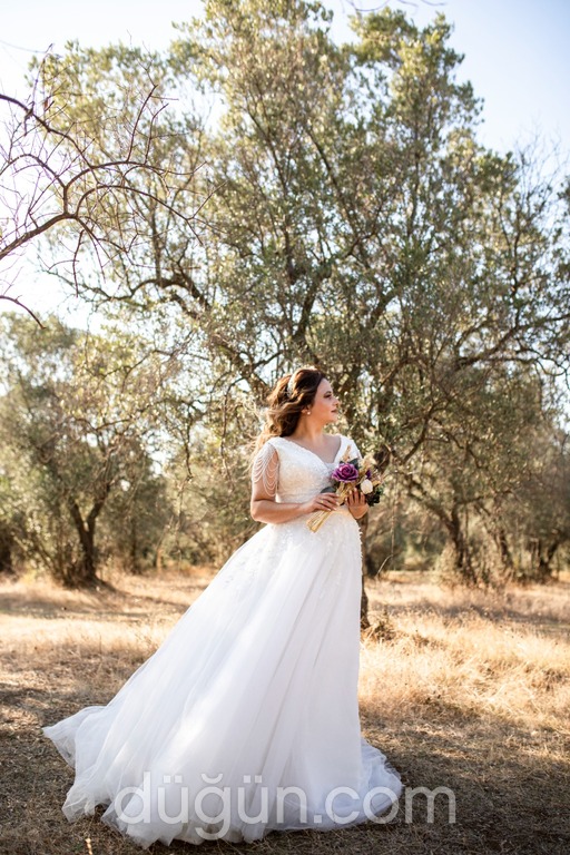 Pasha Fotoğrafçılık