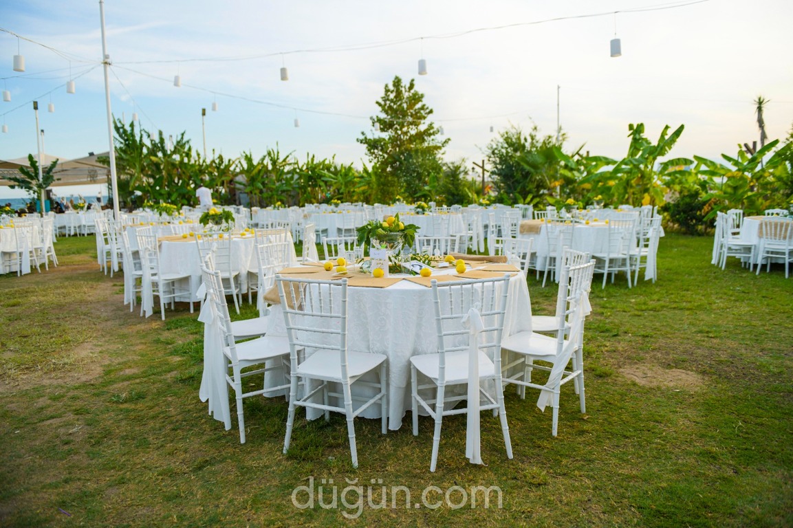 Larena Beach Wedding