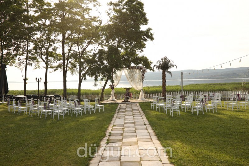 Picasso STK Kır Düğünü