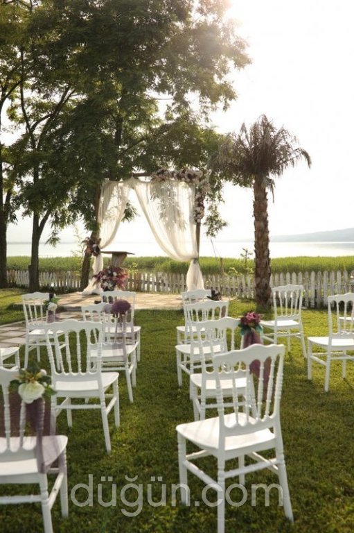 Picasso STK Kır Düğünü