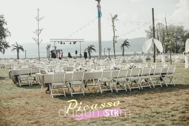 Picasso STK Kır Düğünü