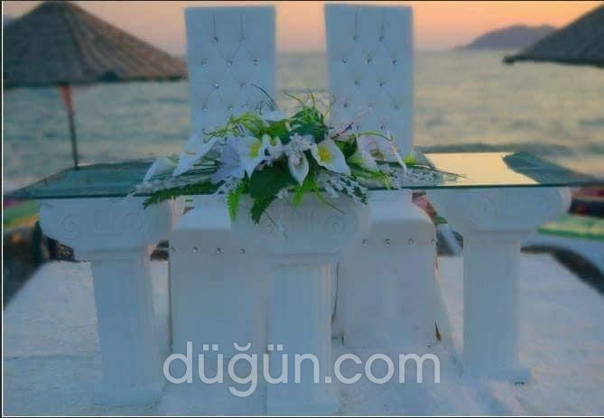Dival Organizasyon
