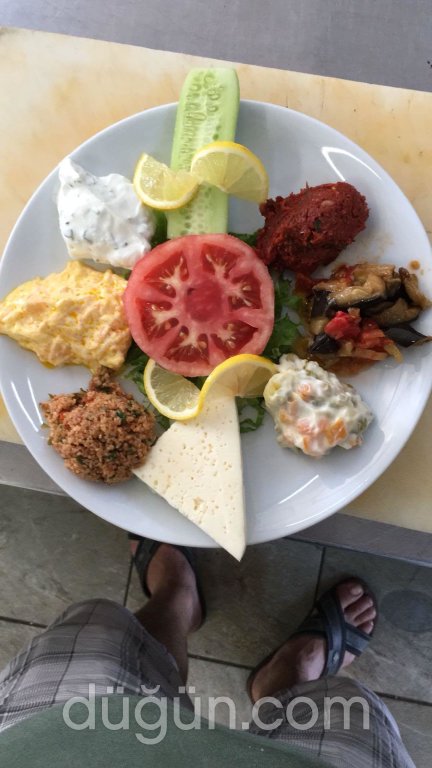 Satsuma Kır Bahçesi