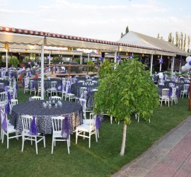 Botanik Kır Bahçesi