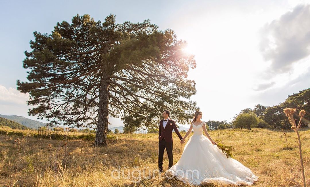 CK Medya Organizasyonu