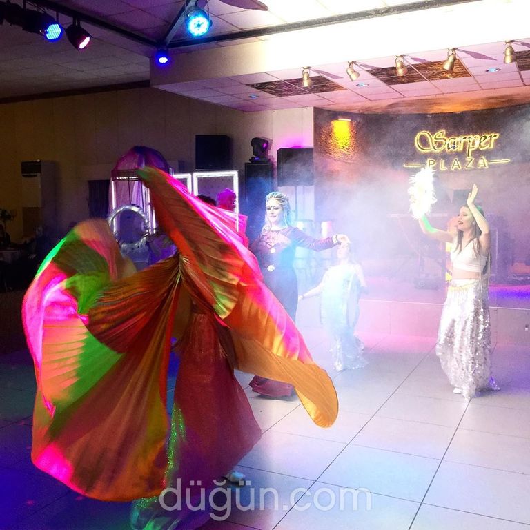 Gülşen'in Organizasyonu