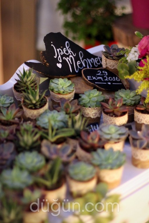 Piccolo Gifts Fiyatları Nikah Şekeri ve Hediyelik İstanbul