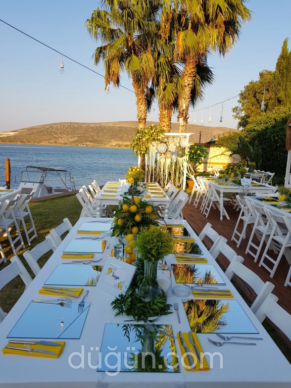 Masal Tasarım & Organizasyon