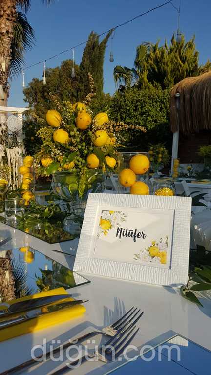 Masal Tasarım & Organizasyon