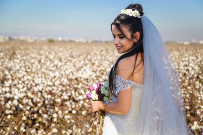 Alp Fotoğrafçılık