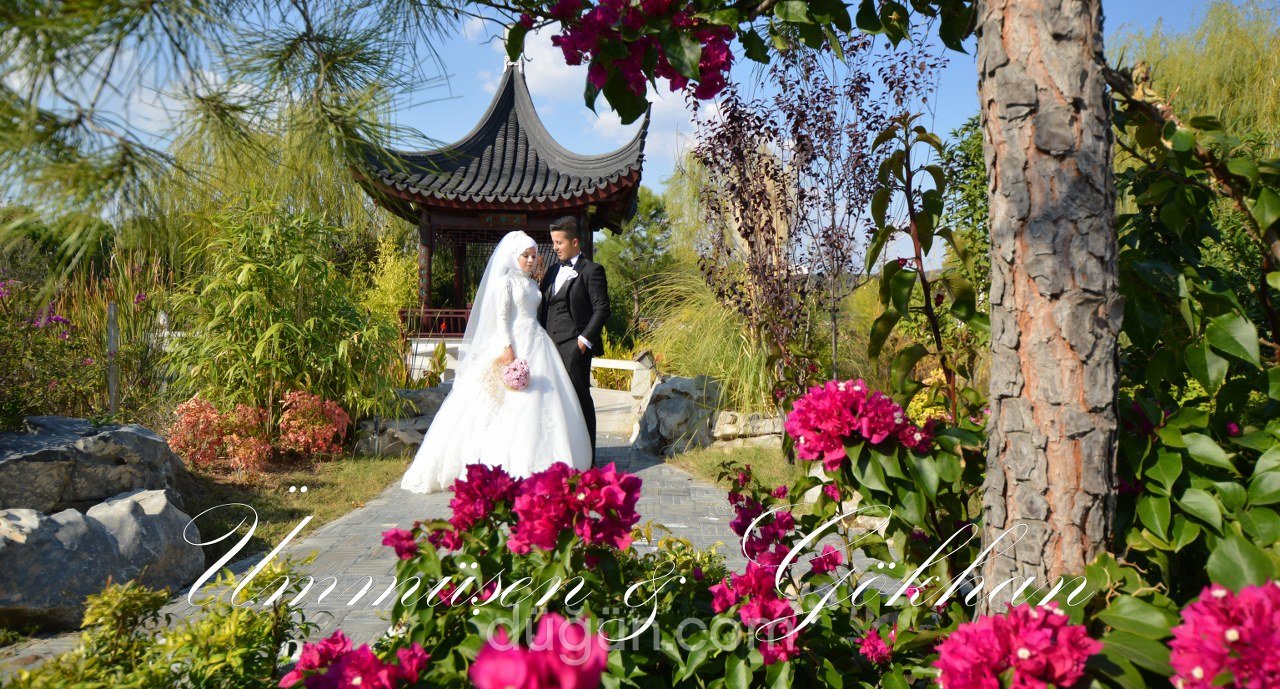 Ahmet Balcı Fotoğraf ve Video