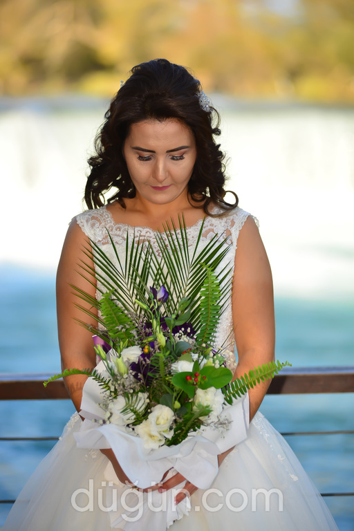 Doğan Fotoğrafçılık