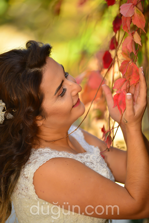 Doğan Fotoğrafçılık