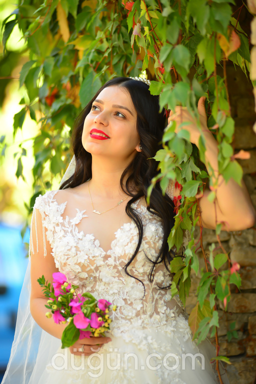 Doğan Fotoğrafçılık