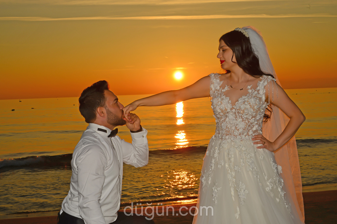 Doğan Fotoğrafçılık