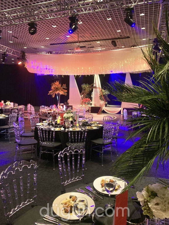 Renkli Fikirler Fabrikası