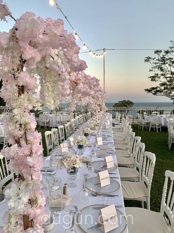 Renkli Fikirler Fabrikası