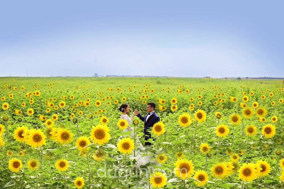 Düğün Hikayesi Adana