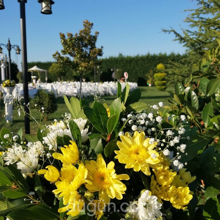 Bitelaş Organizasyon