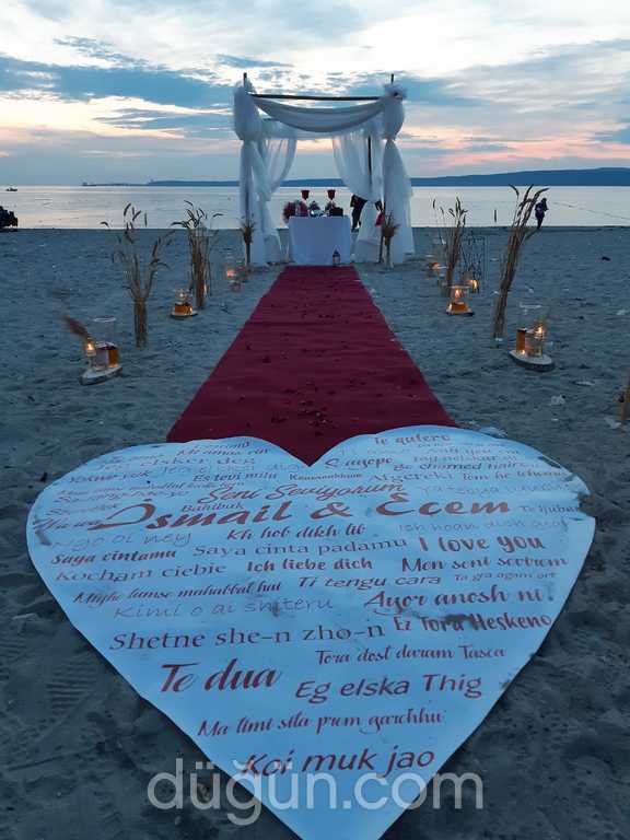 Bitelaş Organizasyon