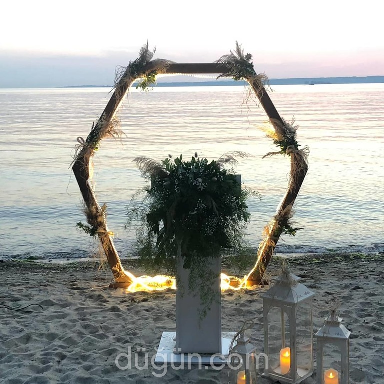 Bitelaş Organizasyon