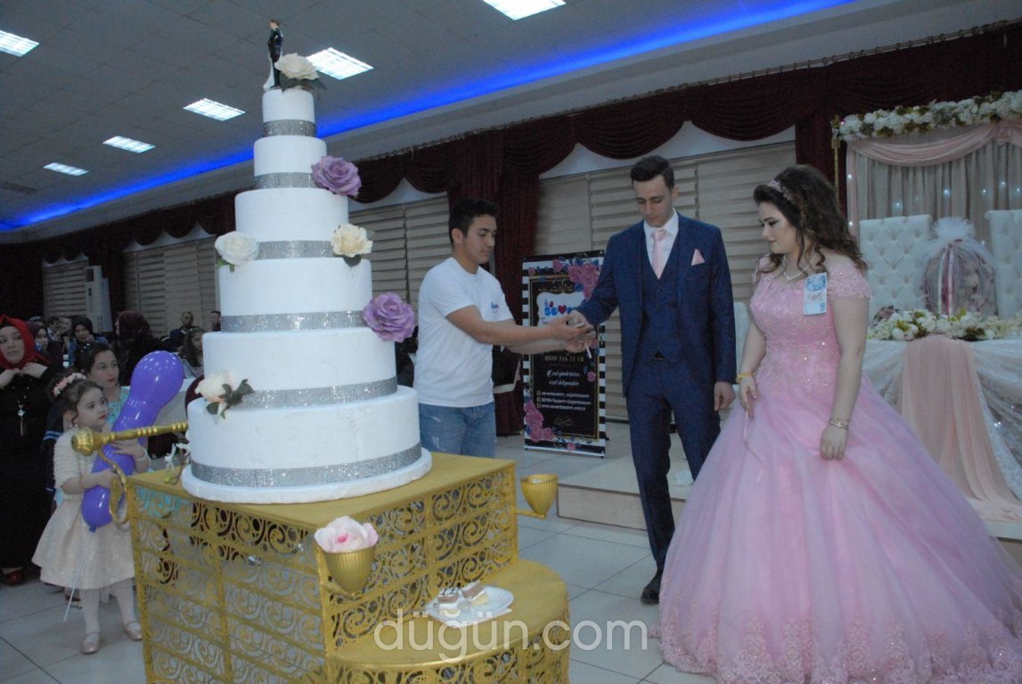 Seven Tasarım ve Organizasyon