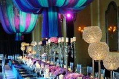 Kertenkele Organizasyon