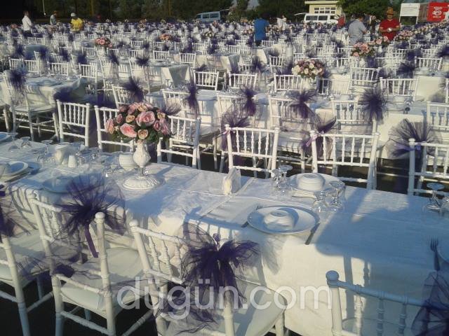 Kertenkele Organizasyon