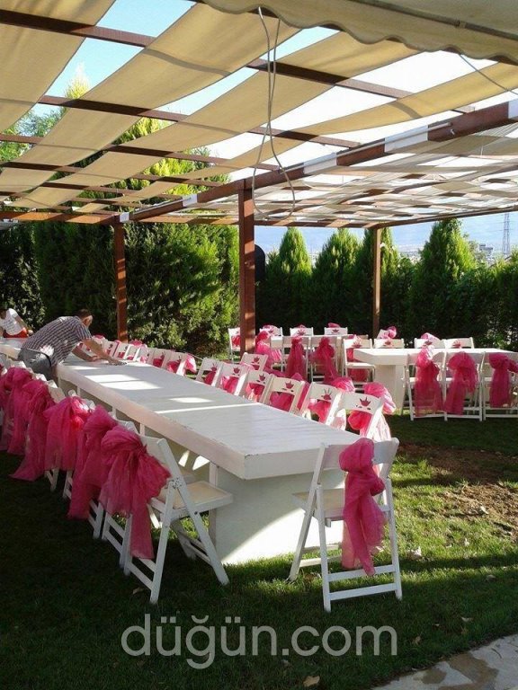 Kertenkele Organizasyon