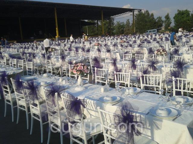 Kertenkele Organizasyon