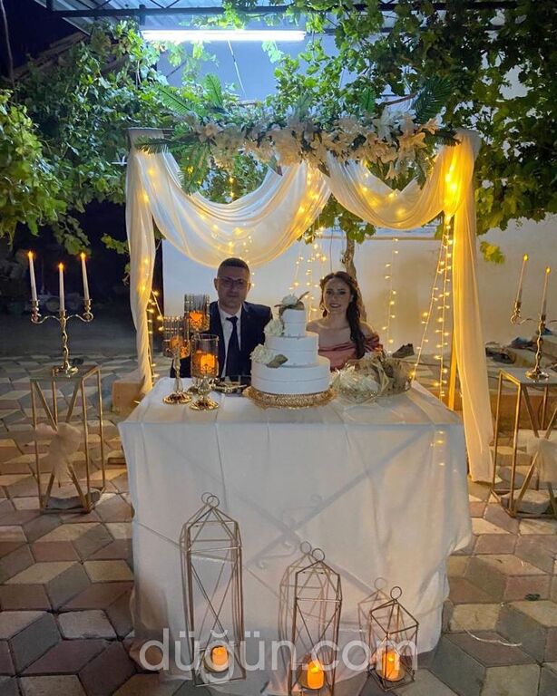 Özgür Organizasyon