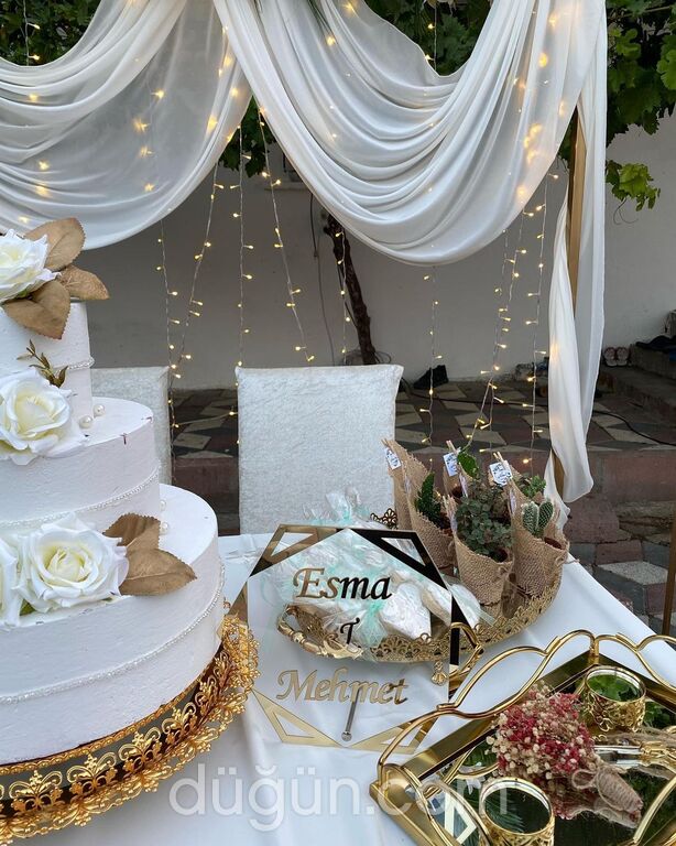 Özgür Organizasyon