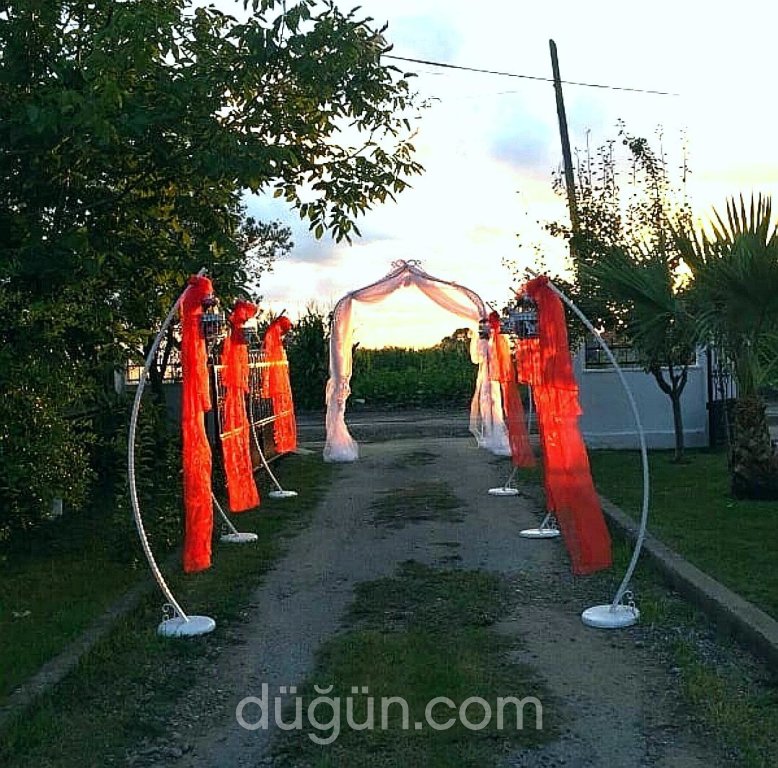 Özgür Organizasyon