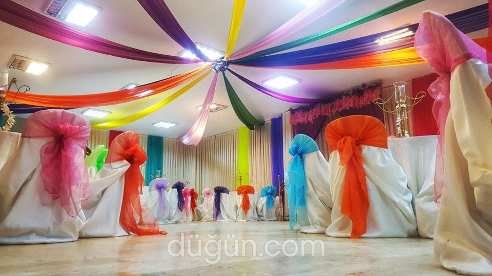 Modelite Organizasyon