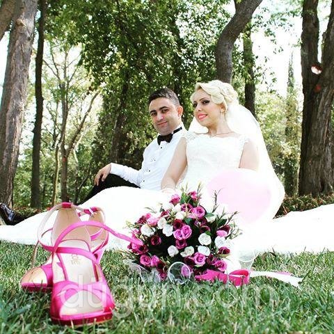 Fox Fotoğrafçılık