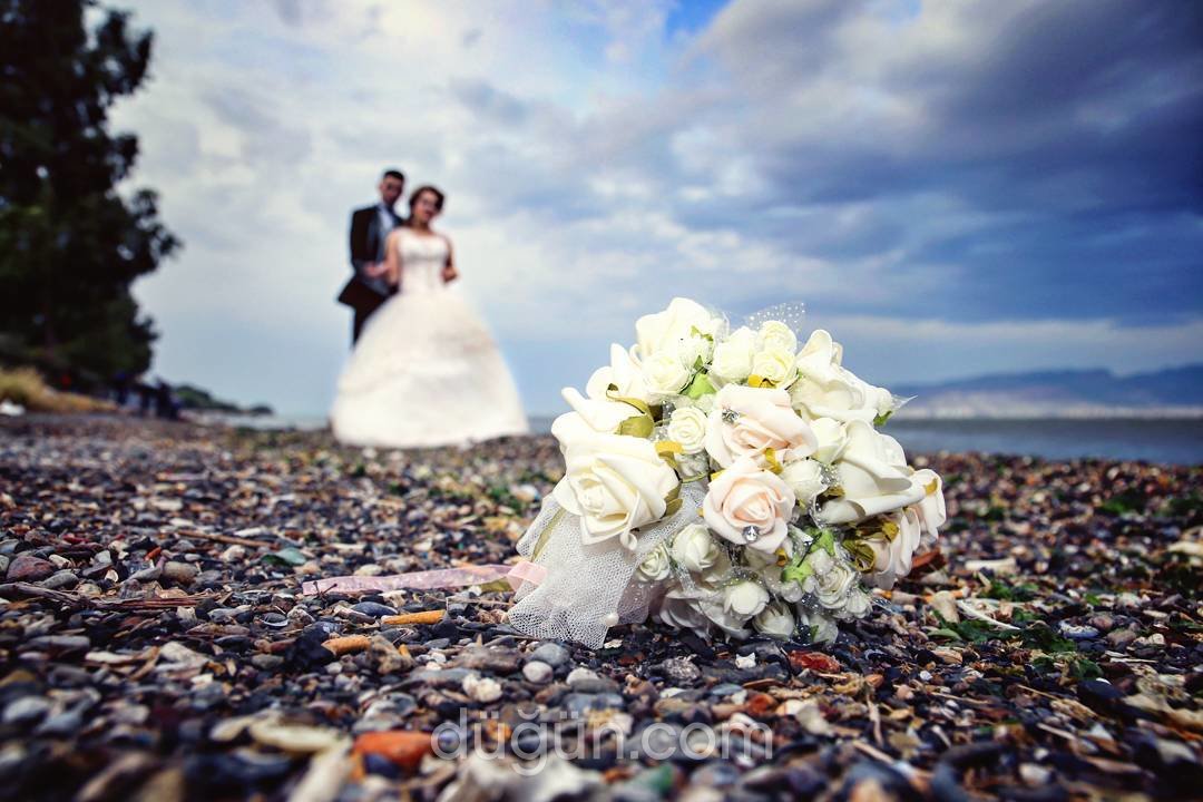 Ali Salman Photography