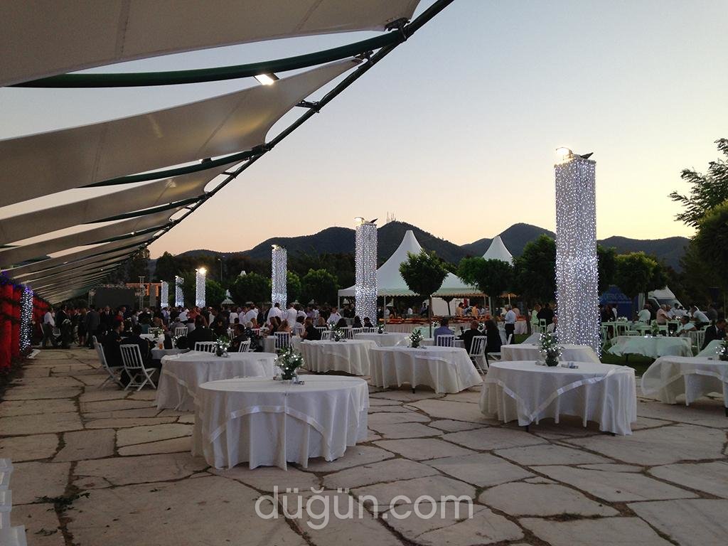 Plus Işık Görütü