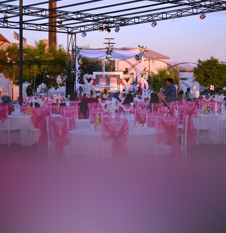 Şan Organizasyon