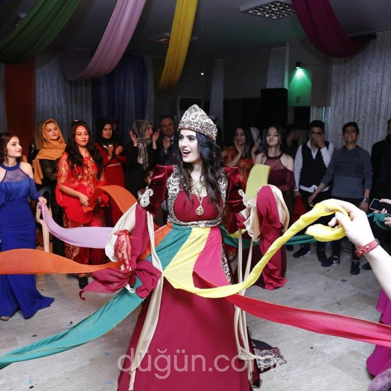 Modelite Organizasyon