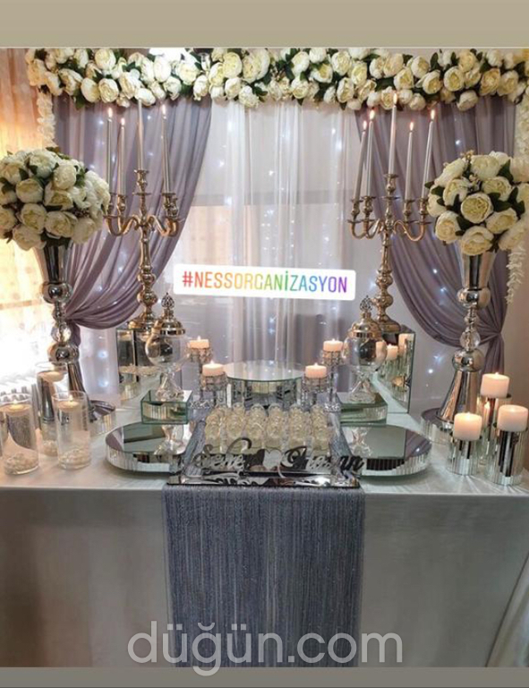 Ness Organizasyon