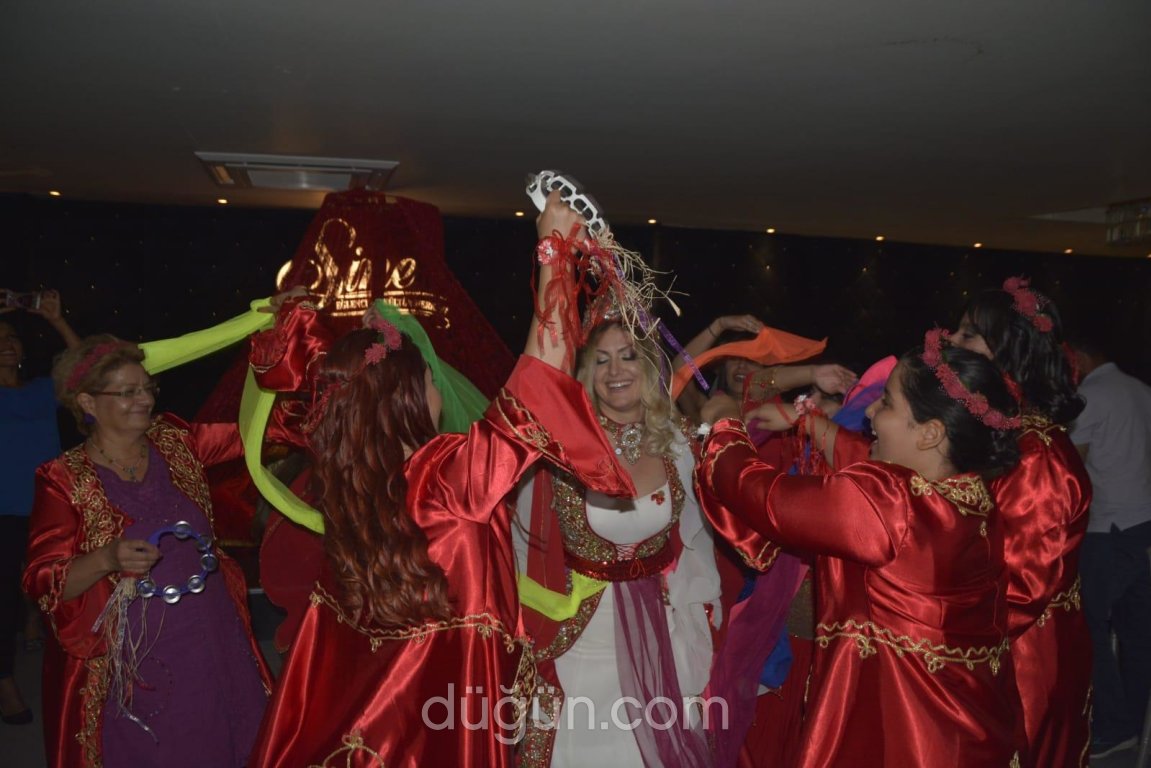 Mavi Masal Organizasyon