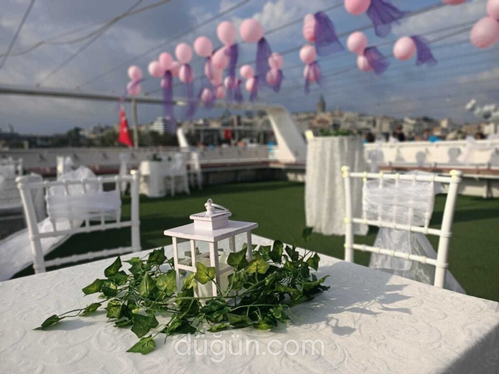 Teknede Organizasyon