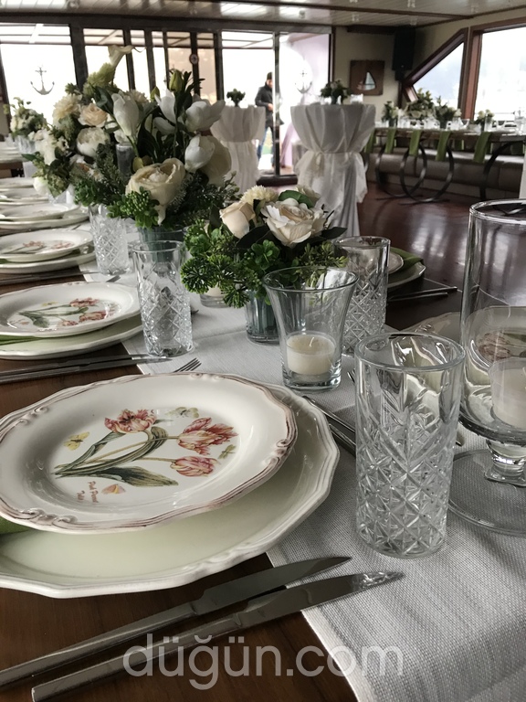 Teknede Organizasyon