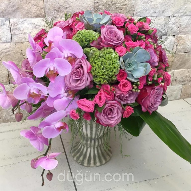 Diva Uluslarası Çiçekçilik