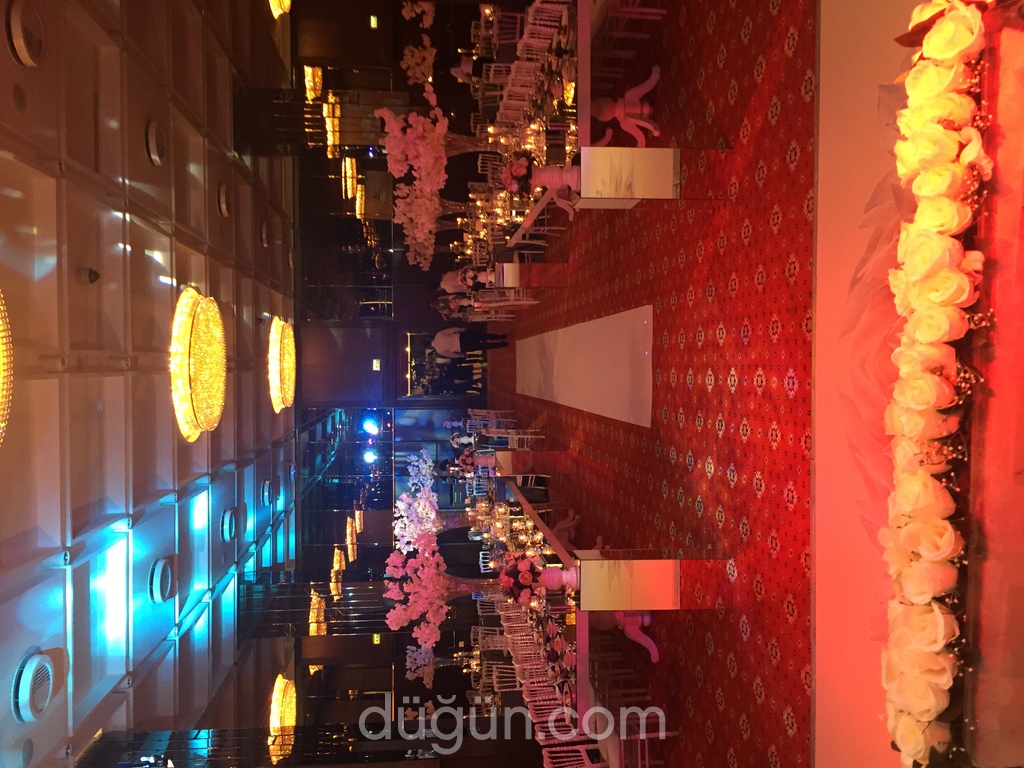 Artı Davet Organizasyon