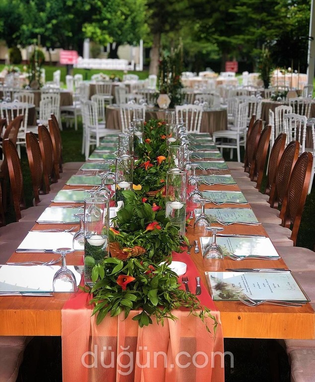 Pembe Kır Düğünü Teması