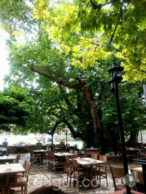 Tarihi Çınaraltı Restaurant